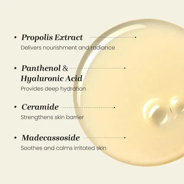 CNP Propolis Treatment Ampule Essence Special Set