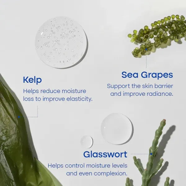 Deep Sea Droplet Serum