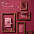 Dailism Eye Palette Rose Memory